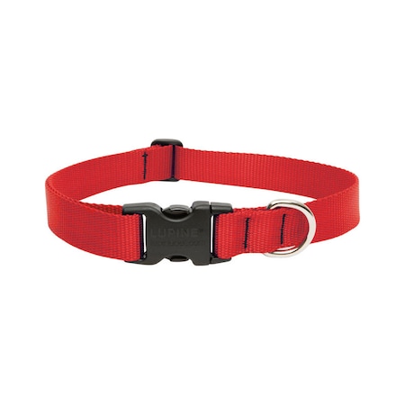Lupine LupinePet Basic Solids Red Red Nylon Dog Adjustable Collar 22552